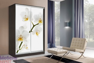 Шкафы - Купе "ОСКАР" (Венге)