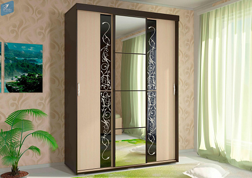 Шкаф -  Купе "ВЕГА ШК - 02"