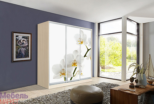 Шкафы - Купе "ОСКАР" (Дуб Молочный)
