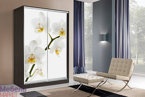 Шкафы - Купе "ОСКАР" (Венге)