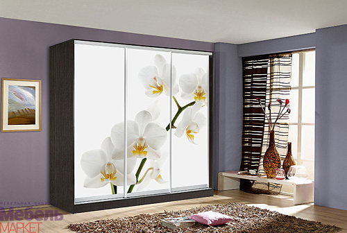 Шкафы - Купе "ОСКАР" (Венге)