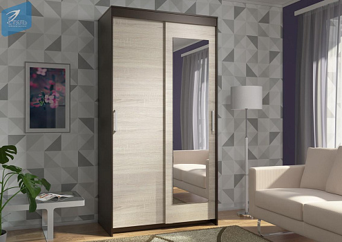 Шкаф - Купе "ЭВА" 