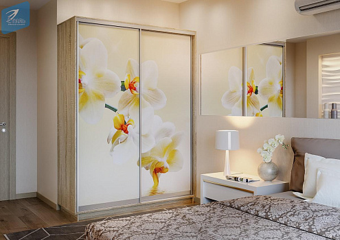 Модульная система Шкафов - Купе " ЛЕО "