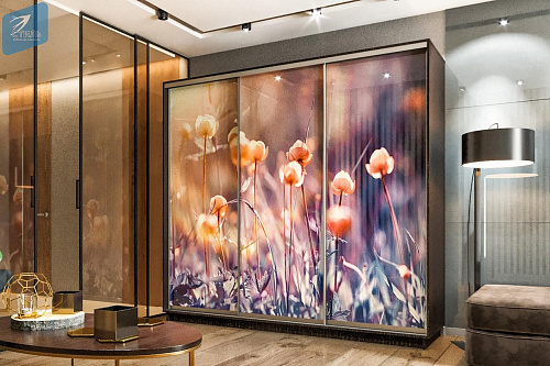 Модульная система Шкафов - Купе " ЛЕО "