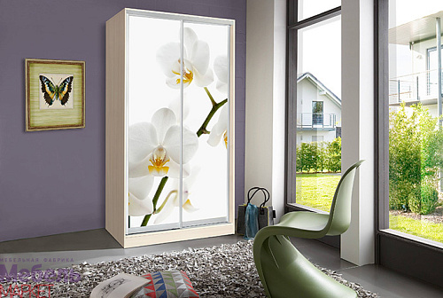 Шкафы - Купе "ОСКАР" (Дуб Молочный)