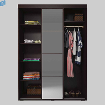 Шкаф -  Купе "ВЕГА ШК - 02"